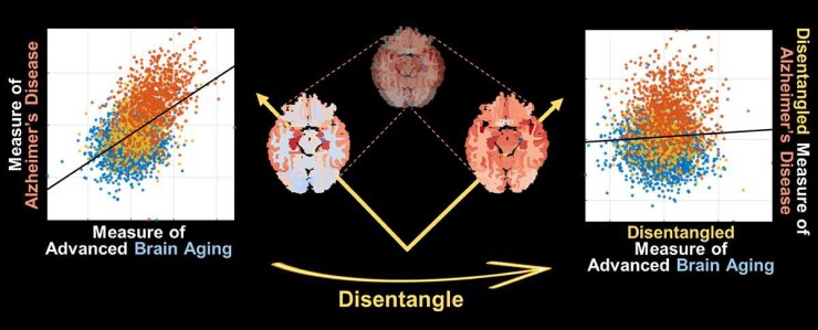 Graphical Abstract