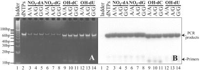 Fig 3.