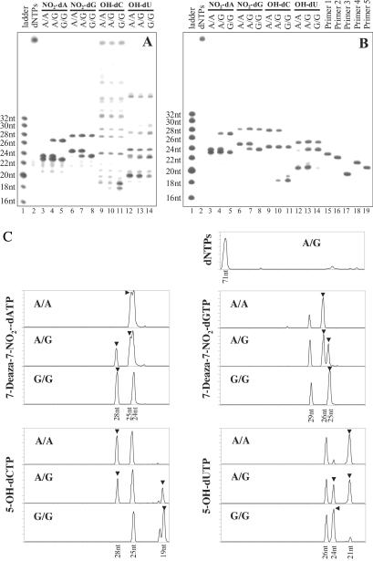 Fig 4.