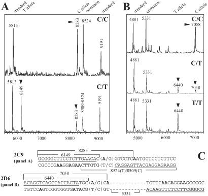 Fig 6.