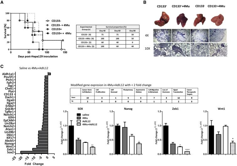 Figure 6