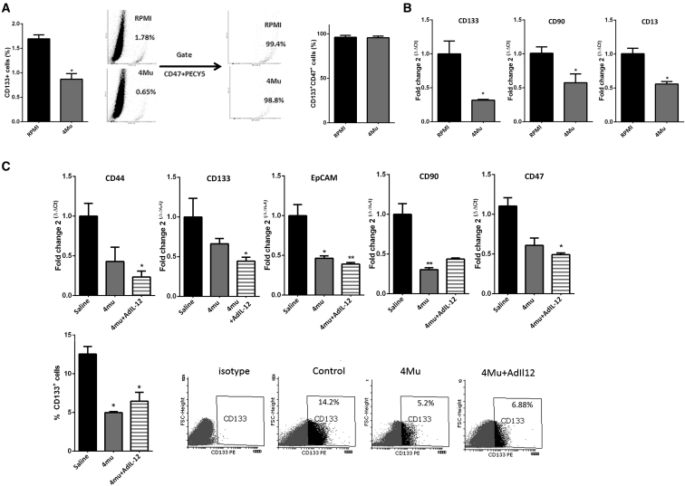 Figure 4