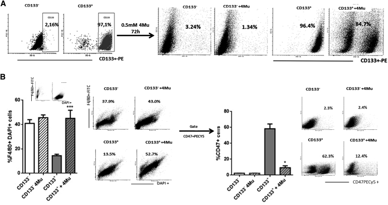 Figure 5