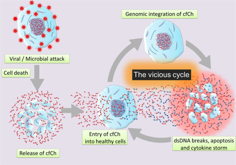 Graphical Abstract