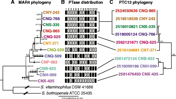 Fig. 4