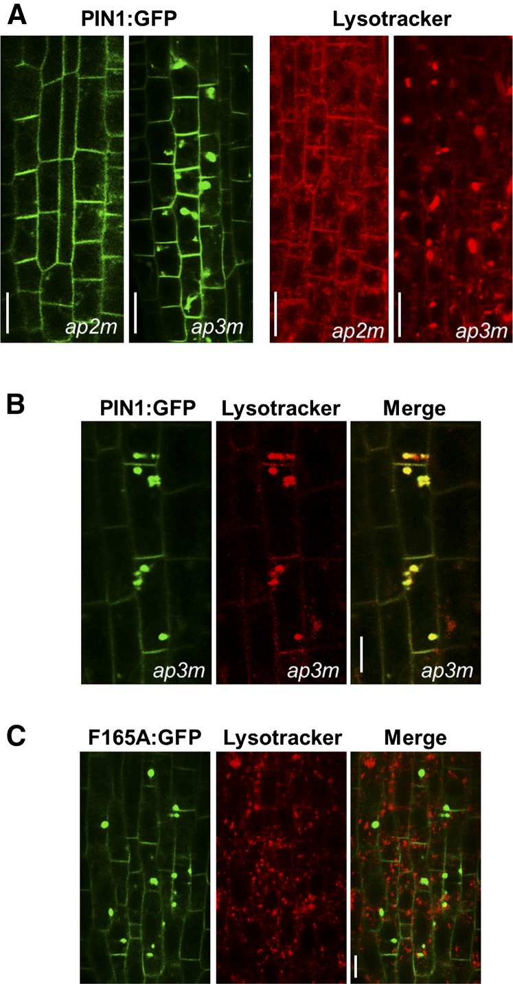 Figure 13.