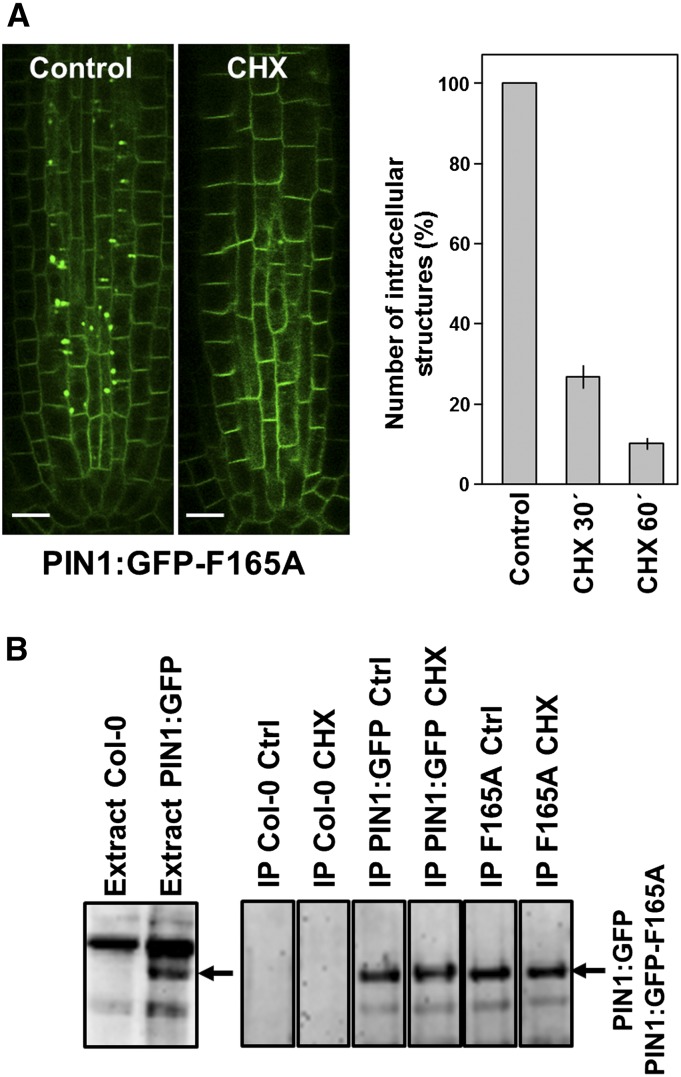 Figure 10.