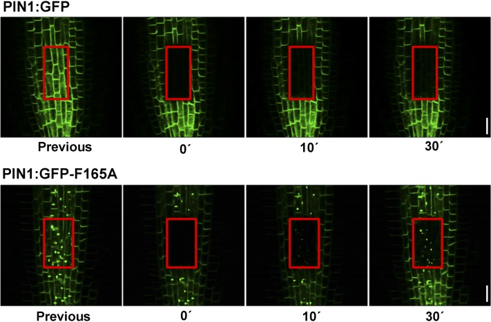 Figure 9.