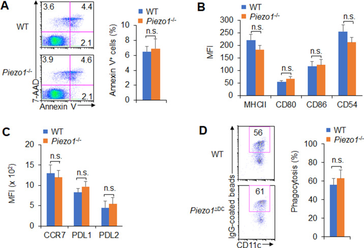 Figure 3—figure supplement 3.