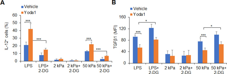 Figure 5—figure supplement 2.