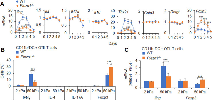 Figure 3—figure supplement 2.