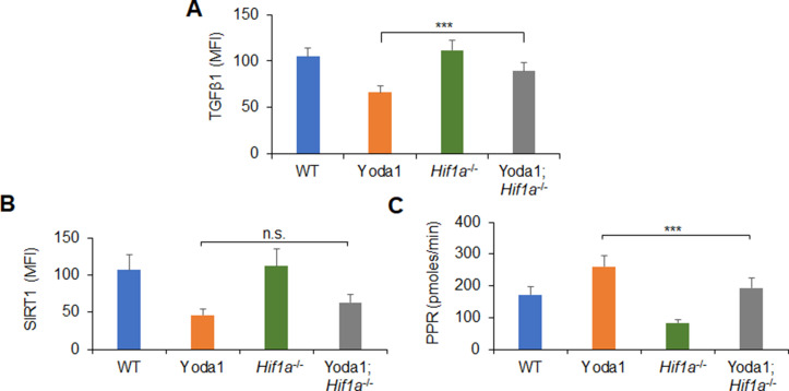 Figure 5—figure supplement 5.