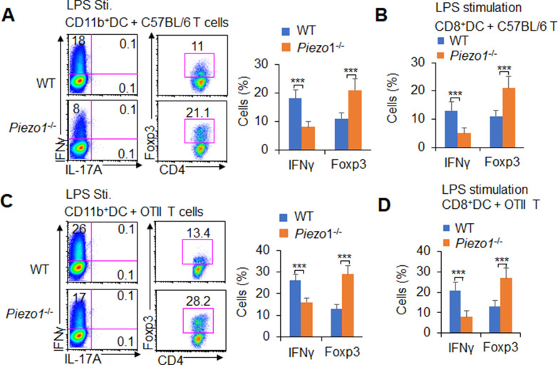 Figure 3—figure supplement 1.