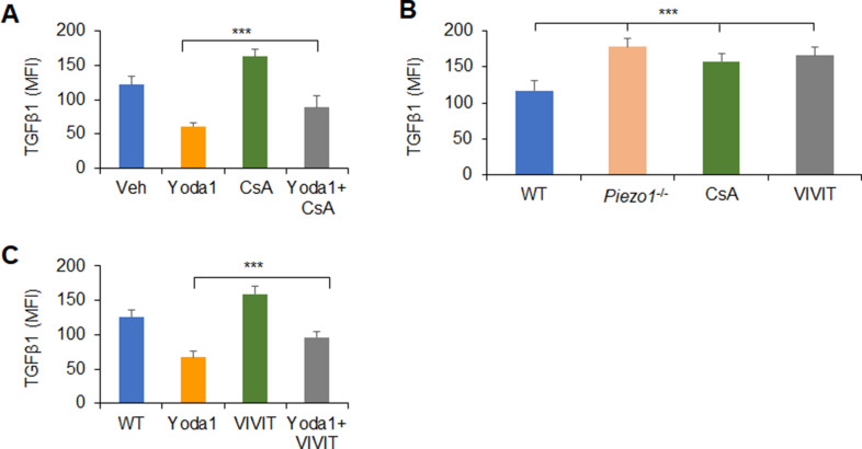 Figure 6—figure supplement 2.