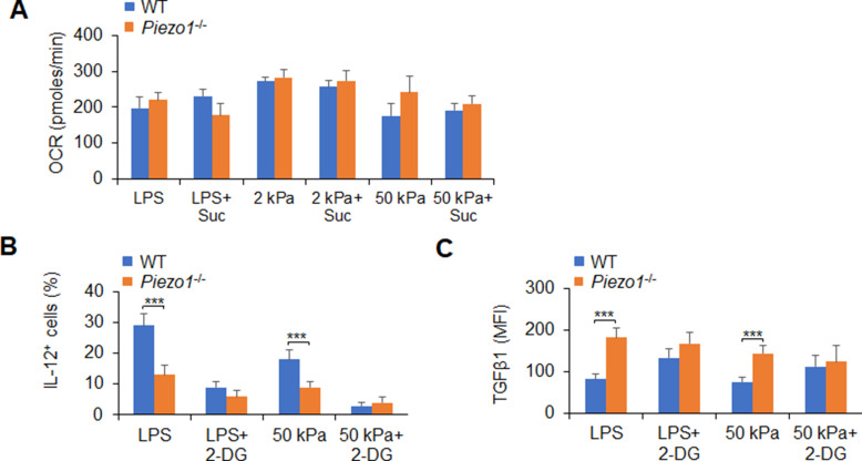 Figure 5—figure supplement 3.