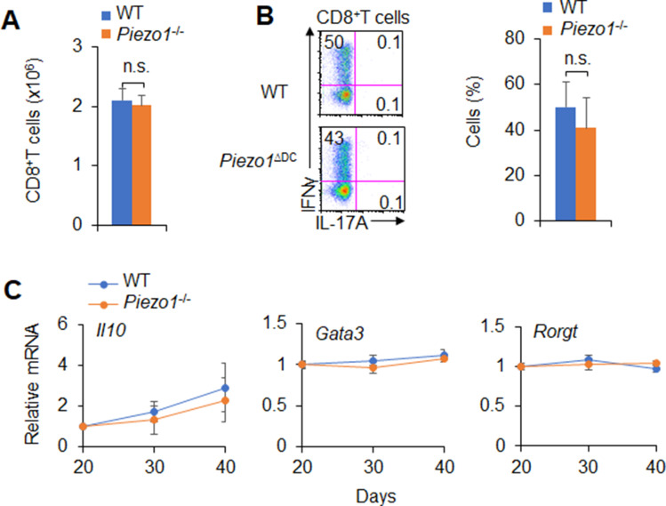 Figure 1—figure supplement 4.