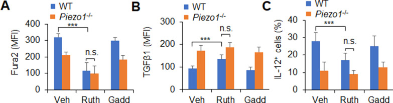 Figure 6—figure supplement 1.