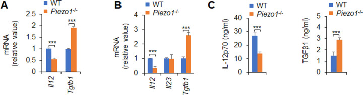 Figure 3—figure supplement 4.