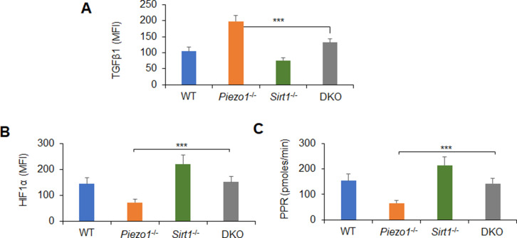 Figure 5—figure supplement 4.