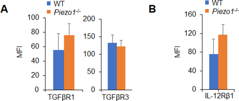 Figure 4—figure supplement 1.