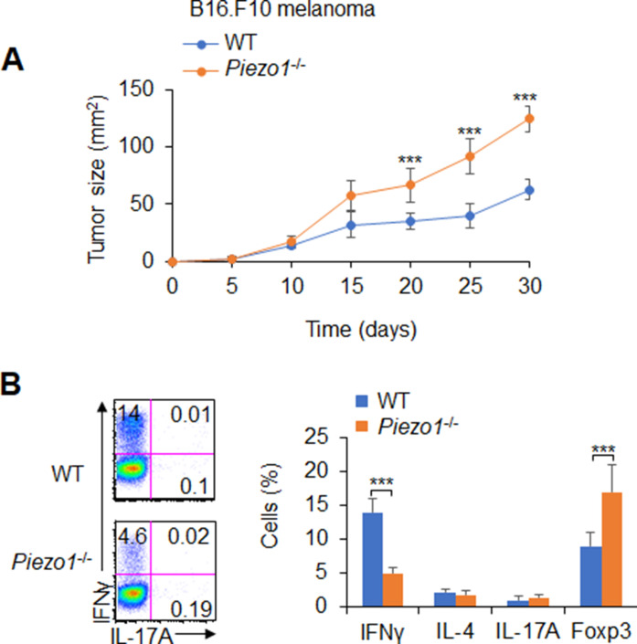 Figure 1—figure supplement 5.