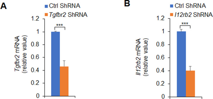 Figure 4—figure supplement 2.