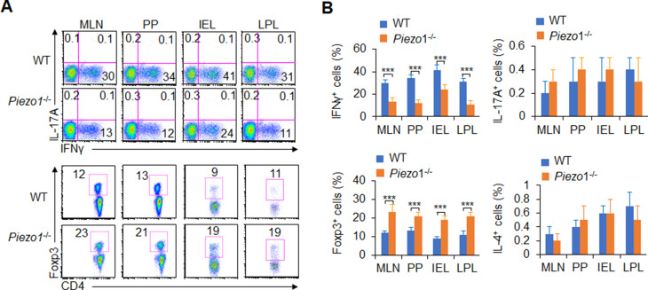 Figure 1—figure supplement 3.