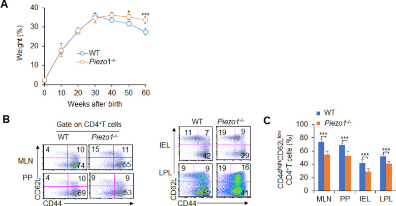 Figure 1—figure supplement 2.