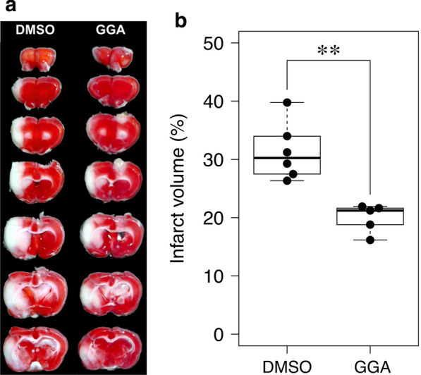 Fig. 4