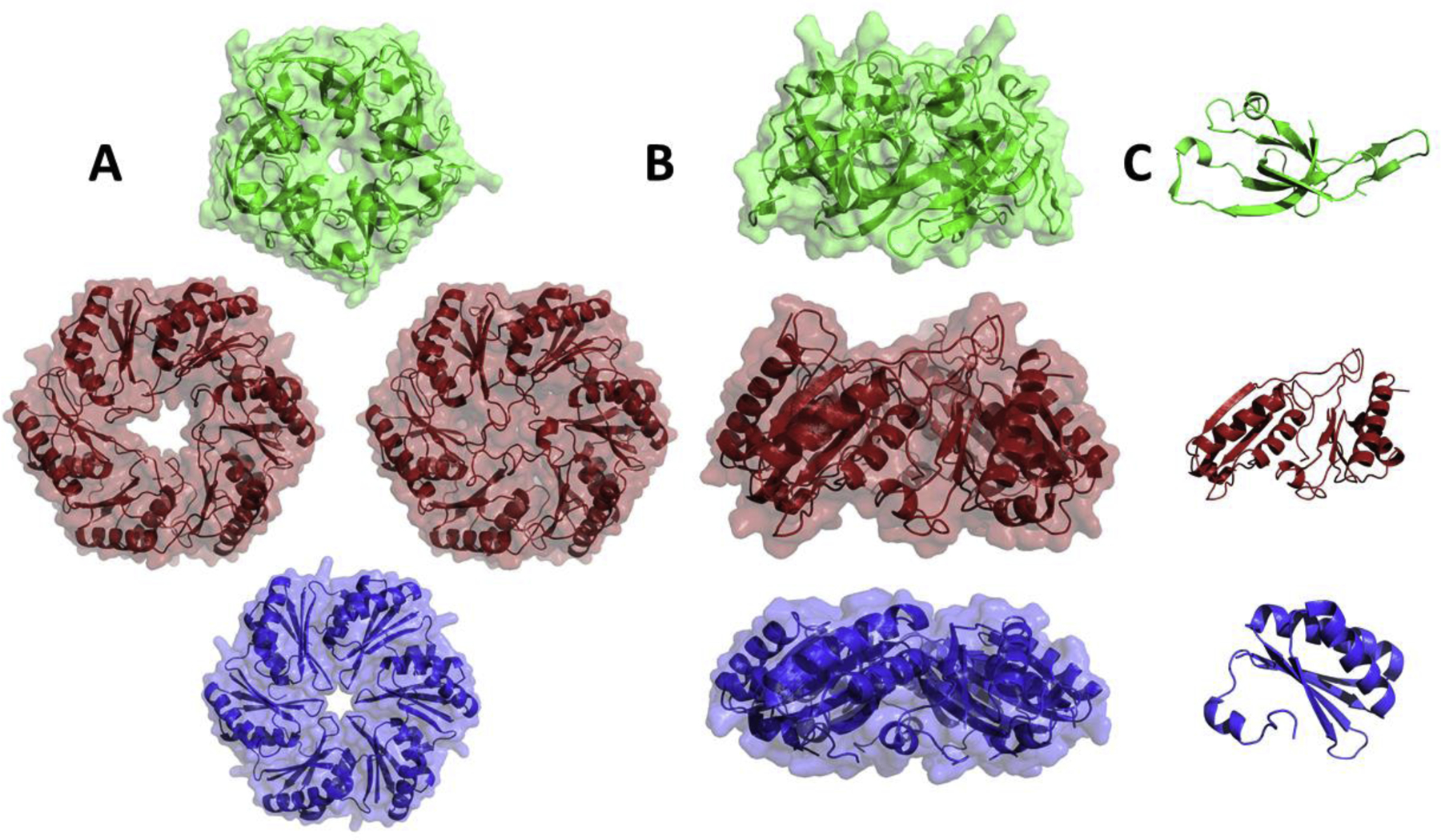 Figure 2: