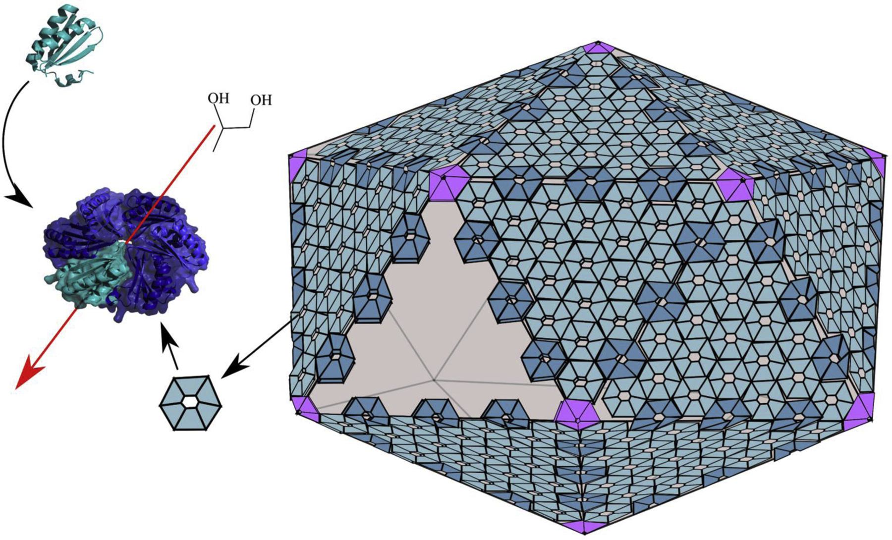 Figure 3: