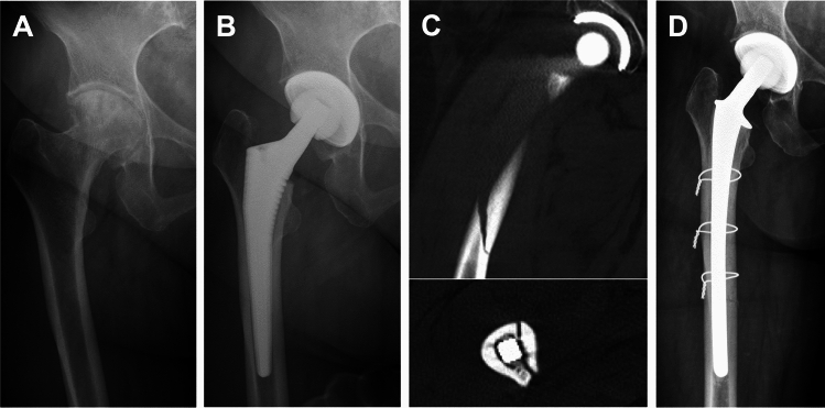 Fig. 2