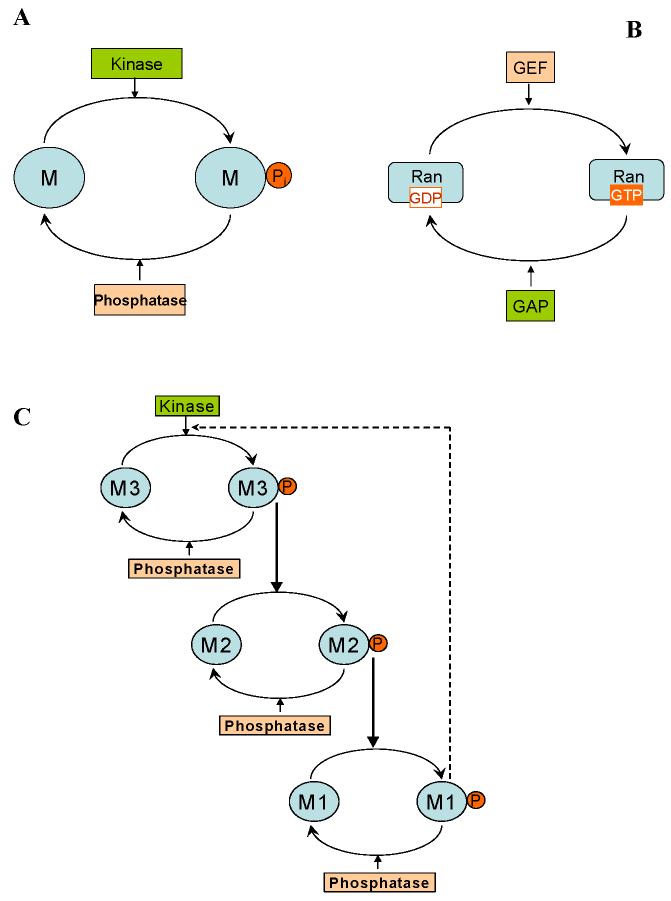 FIG. 1