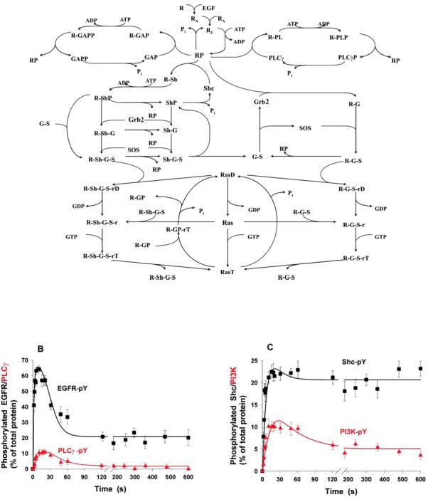 Figure Box 1. Parts A, B and C