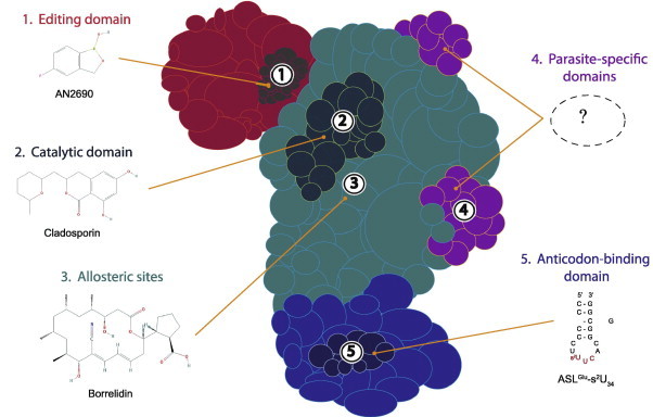 Fig. 1