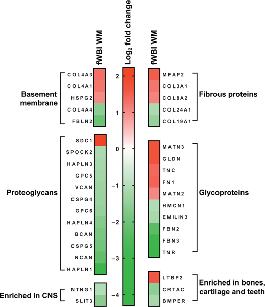 FIG. 7.