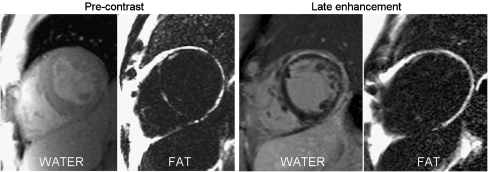 Fig. 6