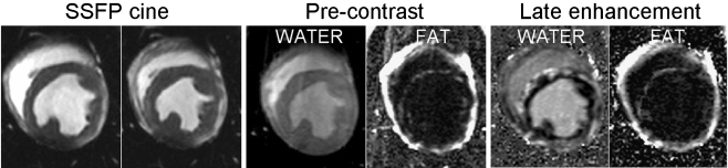 Fig. 8