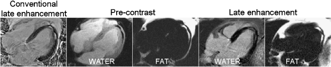 Fig. 10