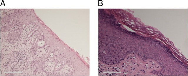 Figure 2: