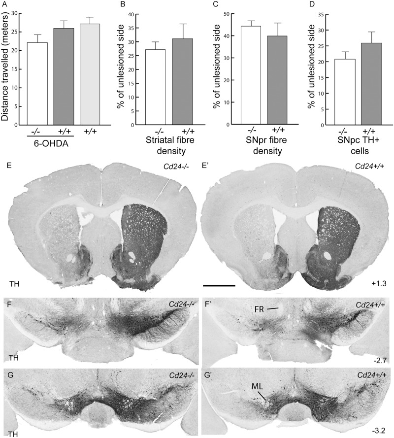 Fig 5