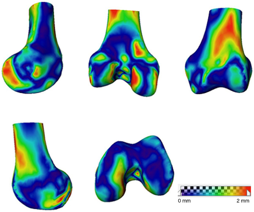 Fig. 13