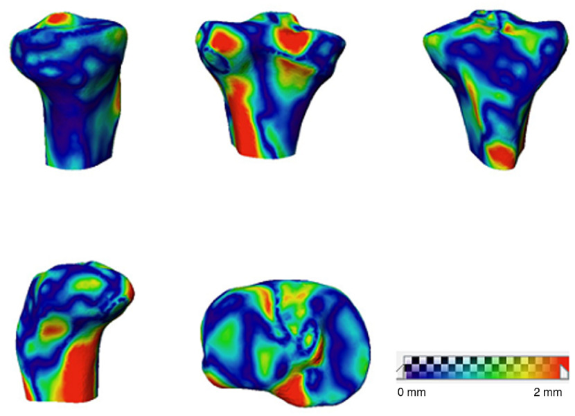 Fig. 14