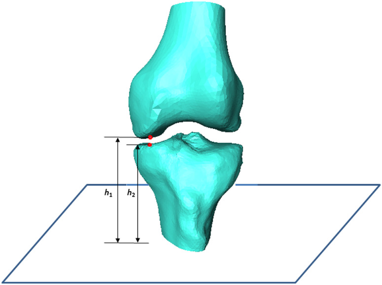 Fig. 5