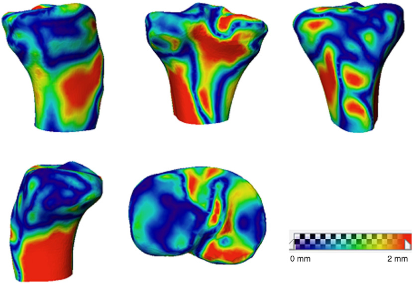 Fig. 10