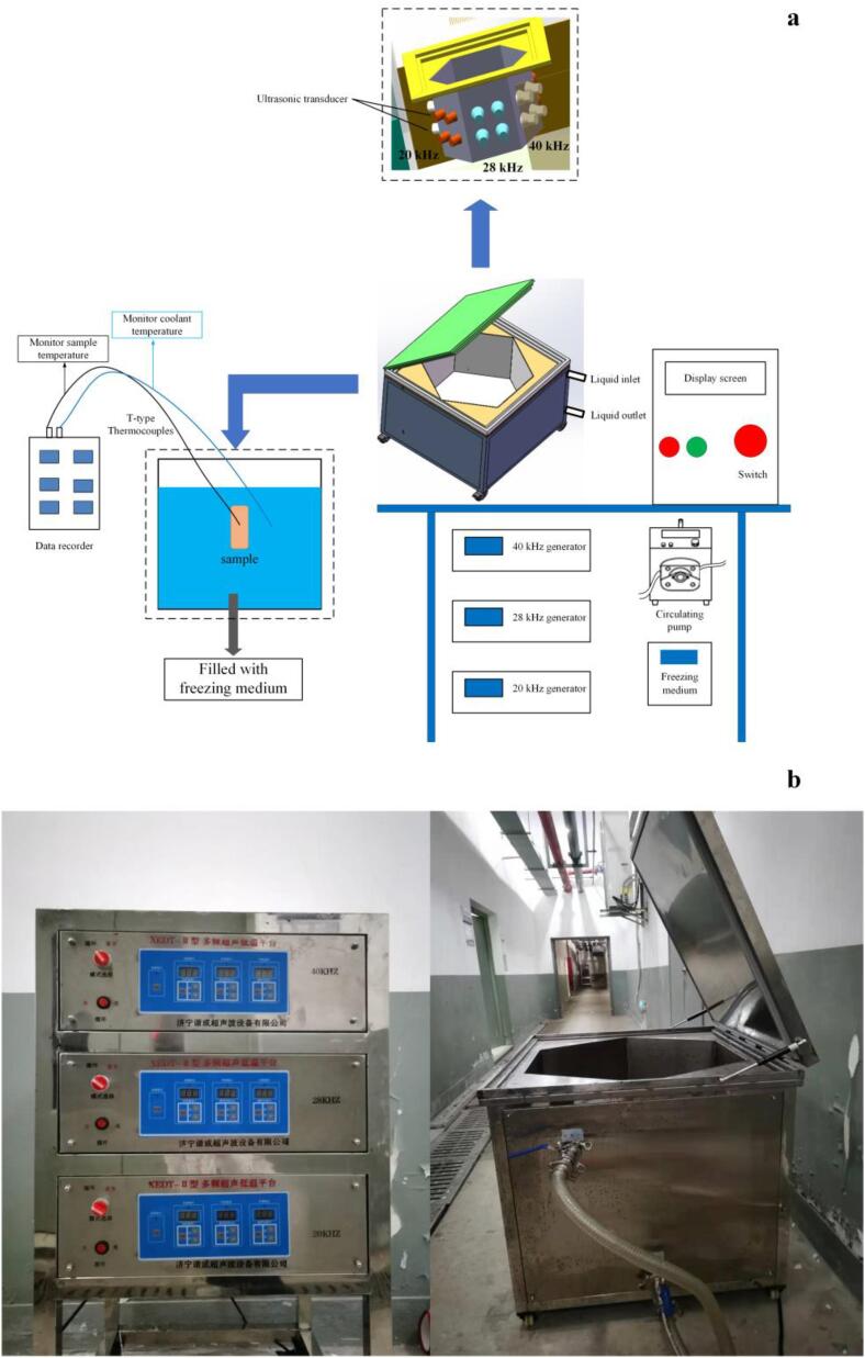 Fig. 1