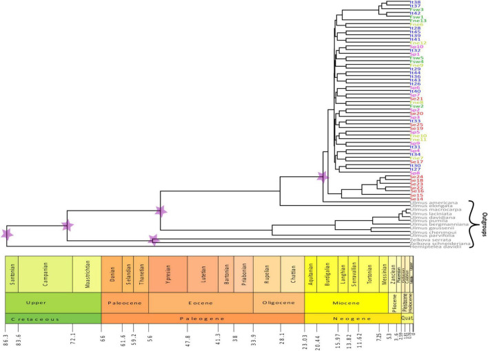 FIGURE 5