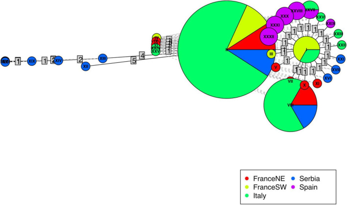 FIGURE 2