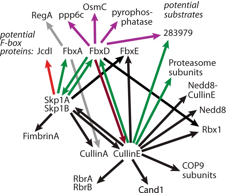 Fig. 9.