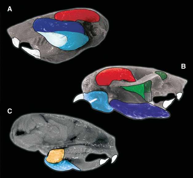 Fig 2